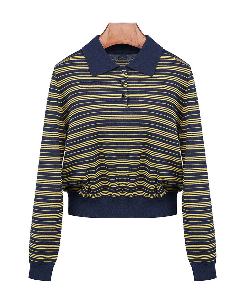 Polo Collar Stripe Knit in Navy & Yellow