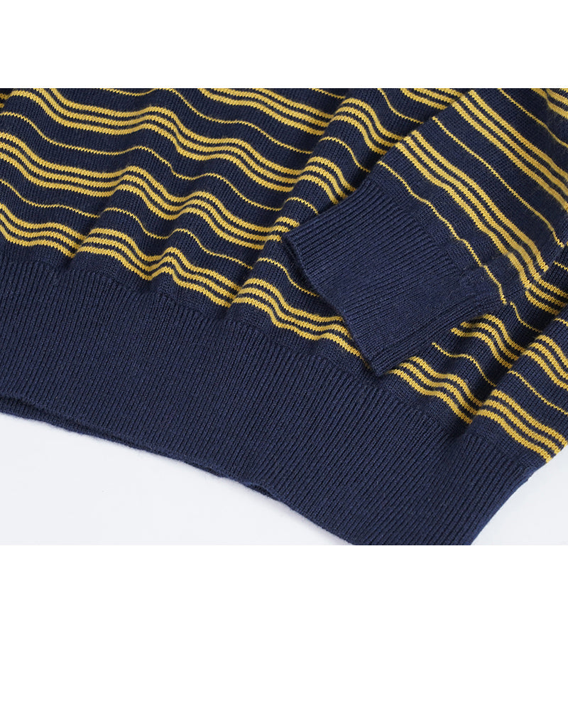 Polo Collar Stripe Knit in Navy & Yellow