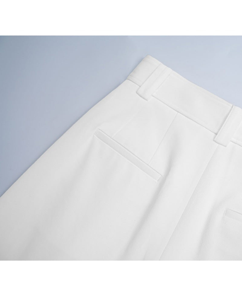 Clean Cut Double Pleat Cropped Wide-Leg Trousers Suitpure